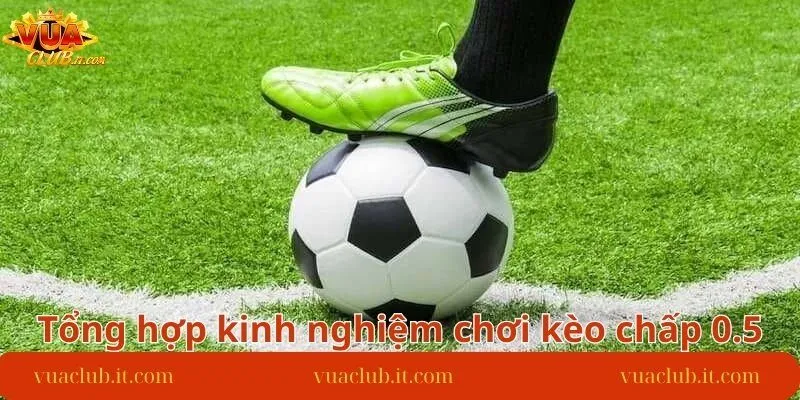 tong-hop-kinh-nghiem-choi-keo-chap-0.5-hieu-qua