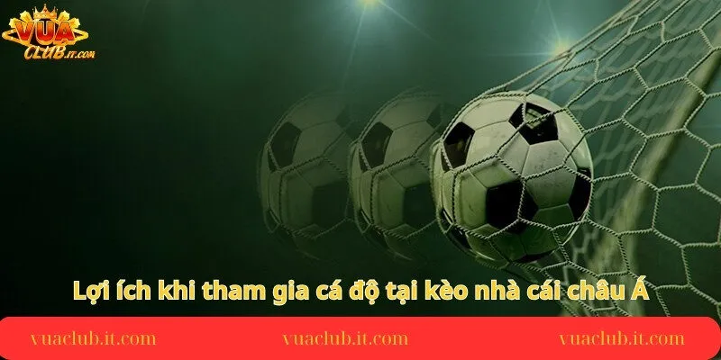 loi-ich-khi-tham-gia-ca-do-tai-keo-nha-cai-chau-a
