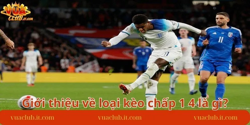 gioi-thieu-ve-loai-keo-chap-1-4-la-gi