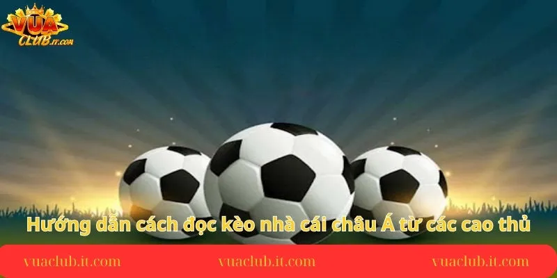 huong-dan-cach-doc-keo-nha-cai-chau-a-tu-cac-cao-thu